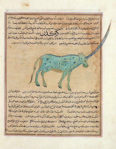Rhinoceros, illustration from 